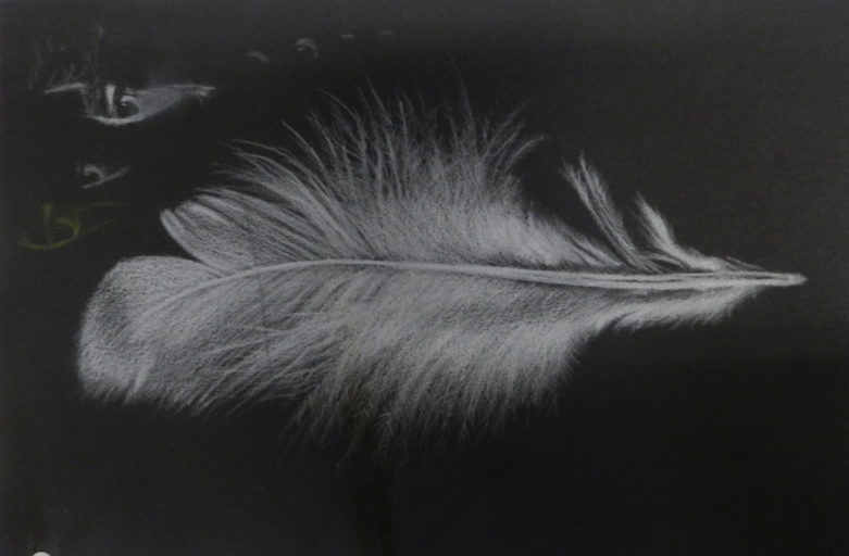White on Black, Feather Drawing, Art